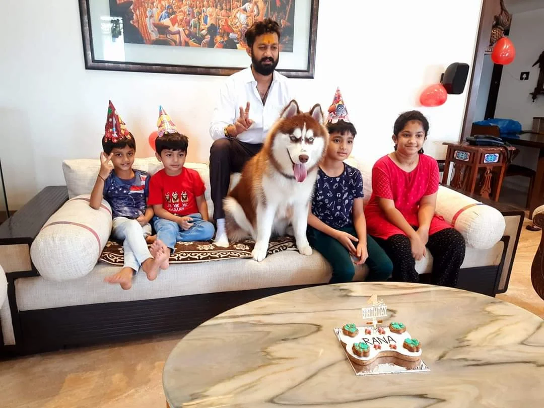 Happy Labrador Puppy